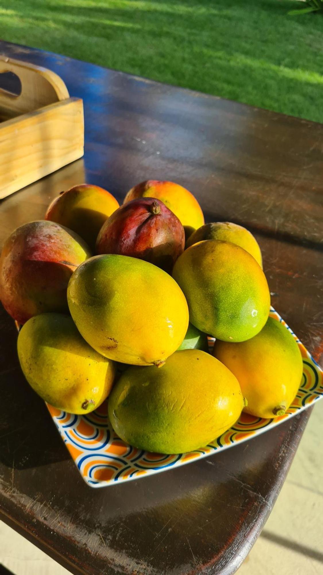 Pôrto das Galinhas Kaapalua 아파트 외부 사진