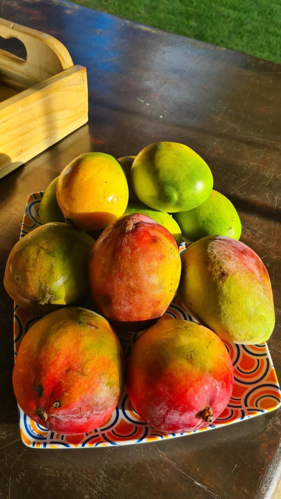 Pôrto das Galinhas Kaapalua 아파트 외부 사진
